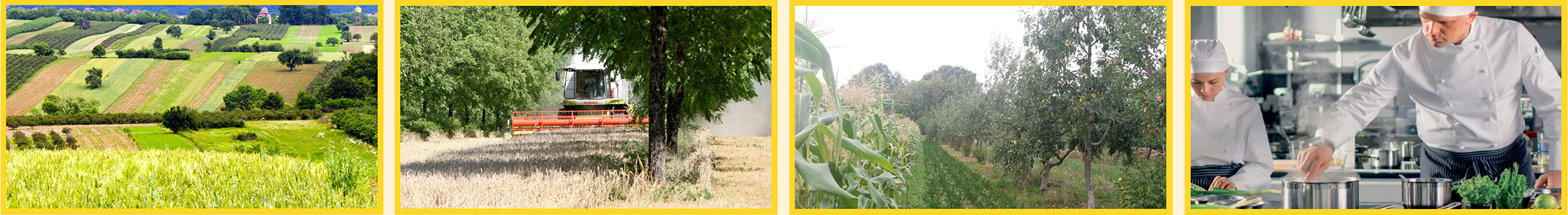 Perma Kulur Partner Netzwerk Austausch Perma Kultur Netzwerk